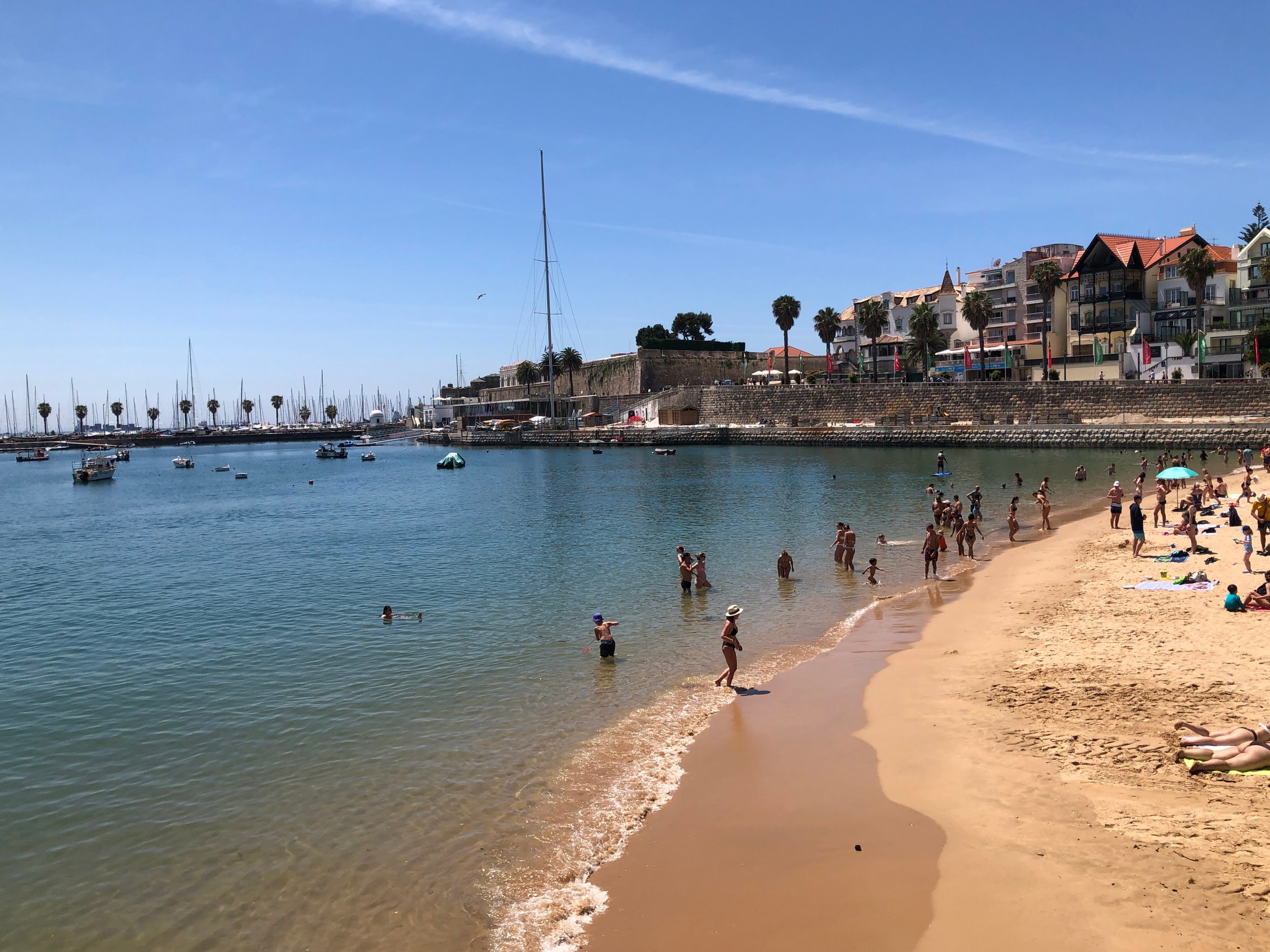A group of people on a beach

AI-generated content may be incorrect.